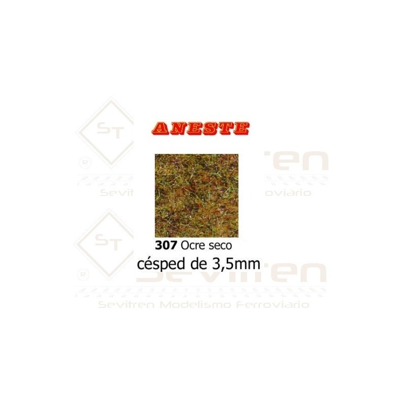 LAWN OF 3,5 mm HEIGHT. OCCER DRY. ANESTE - REF 307