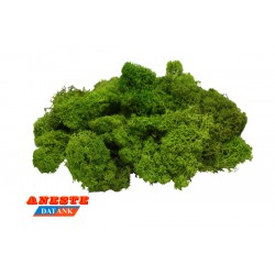 NATURAL MOSS ISLAMOND 75 gr. Light green. Aneste- Ref 764