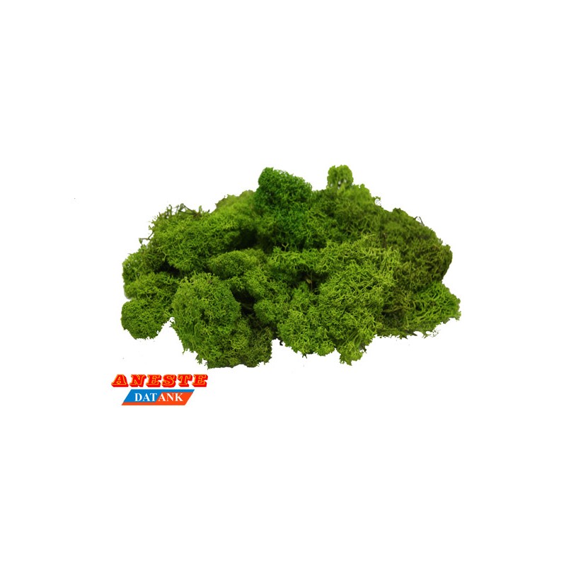 NATURAL MOSS ISLAMOND 75 gr. Light green. Aneste- Ref 764