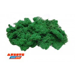 NATURAL MOSS ISLAMOND 75 gr. Medium green. Aneste- Ref 763
