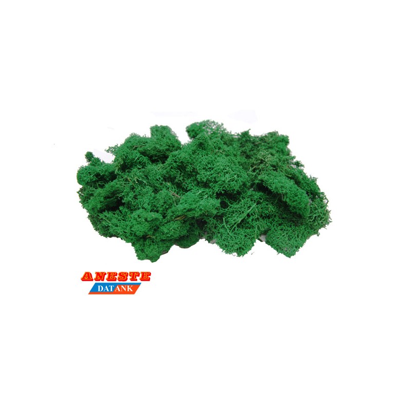 NATURAL MOSS ISLAMOND 75 gr. Medium green. Aneste- Ref 763