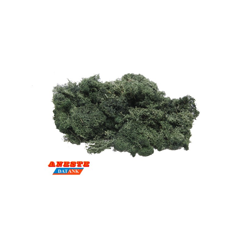 NATURAL MOSS ISLAMOND 75 gr. Dark green. Aneste- Ref 762