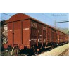 RENFE, 2-unit pack, ORE wagons, brown, period IV - Arnold HN6523