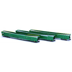 Set 3 Cars Carrier Wagon DDMA, green version RENFE, Mftrain-N71016