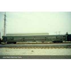 RENFE, 2-unit set DDMA autotransporter, with protective lateral grills, original livery, period IV Arnold HN4413