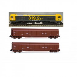 Lote Sevitren 40. Loc RENFE 319.253-2 Toptrain TT70114 + 2  wagons JJPD Habis Arnold HN6486