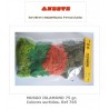 NATURAL MOSS ISLAMOND 75 gr. Assorted colors. Aneste- Ref 765