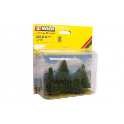 Fir trees. N-Z. Noch 25432