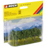 Fruit trees. N-Z. Noch 25510