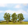 Fruit trees. N-Z. Noch 25510
