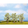 Fruit trees. N-Z. Noch 25511