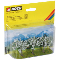 Fruit trees. N-Z. Noch 25511