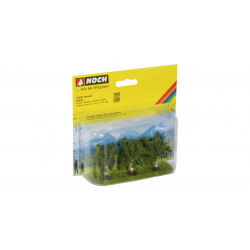 Birch trees. N-Z. Noch 25520