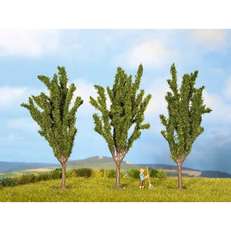 Poplars. N-Z. Noch 25525 Poplars. N-Z. Noch 25525