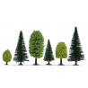Mixed Forest. N-Z. Noch 32811