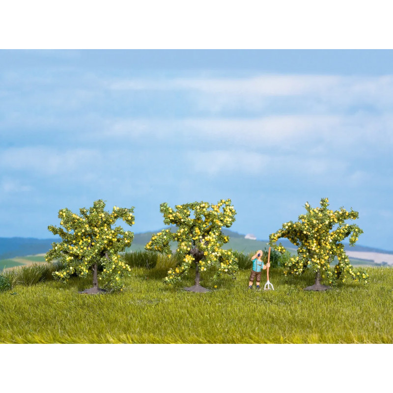 Lemon trees. N-Z. Noch 25115