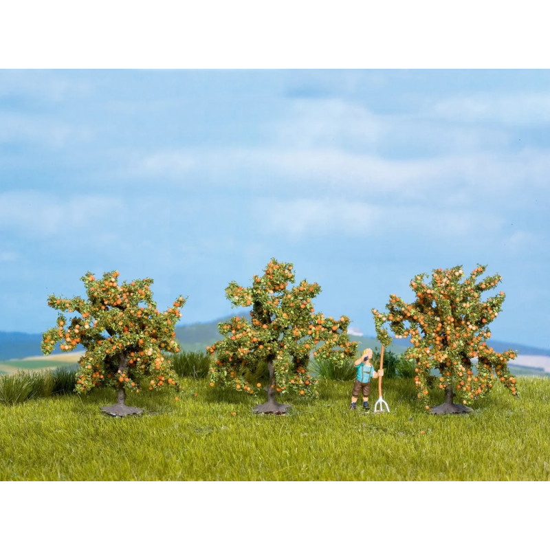 Orange trees. N-Z. Noch 25114 Orange trees. N-Z. Noch 25114