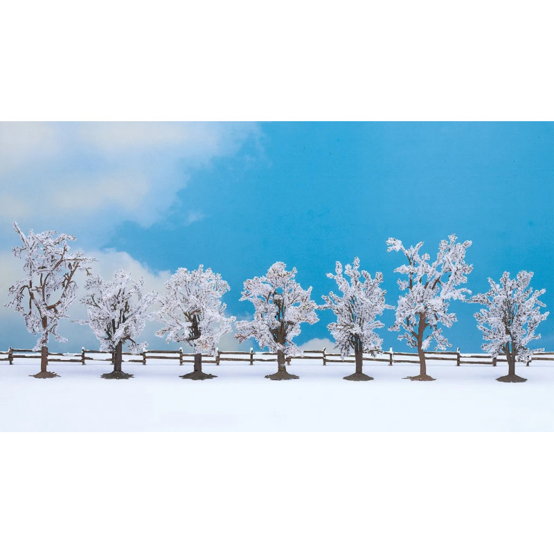 Winter tress.H0,N,Z. Noch 25075